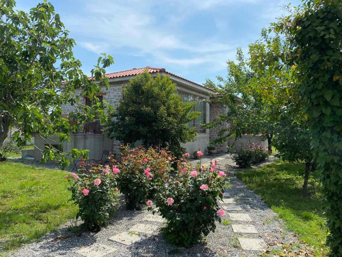 Kampus Luxury Trikala (Thessaly)