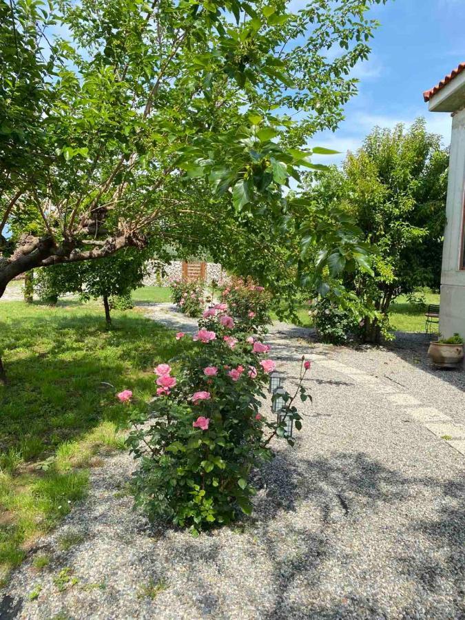 Apartment Kampus Luxury Trikala (Thessaly)