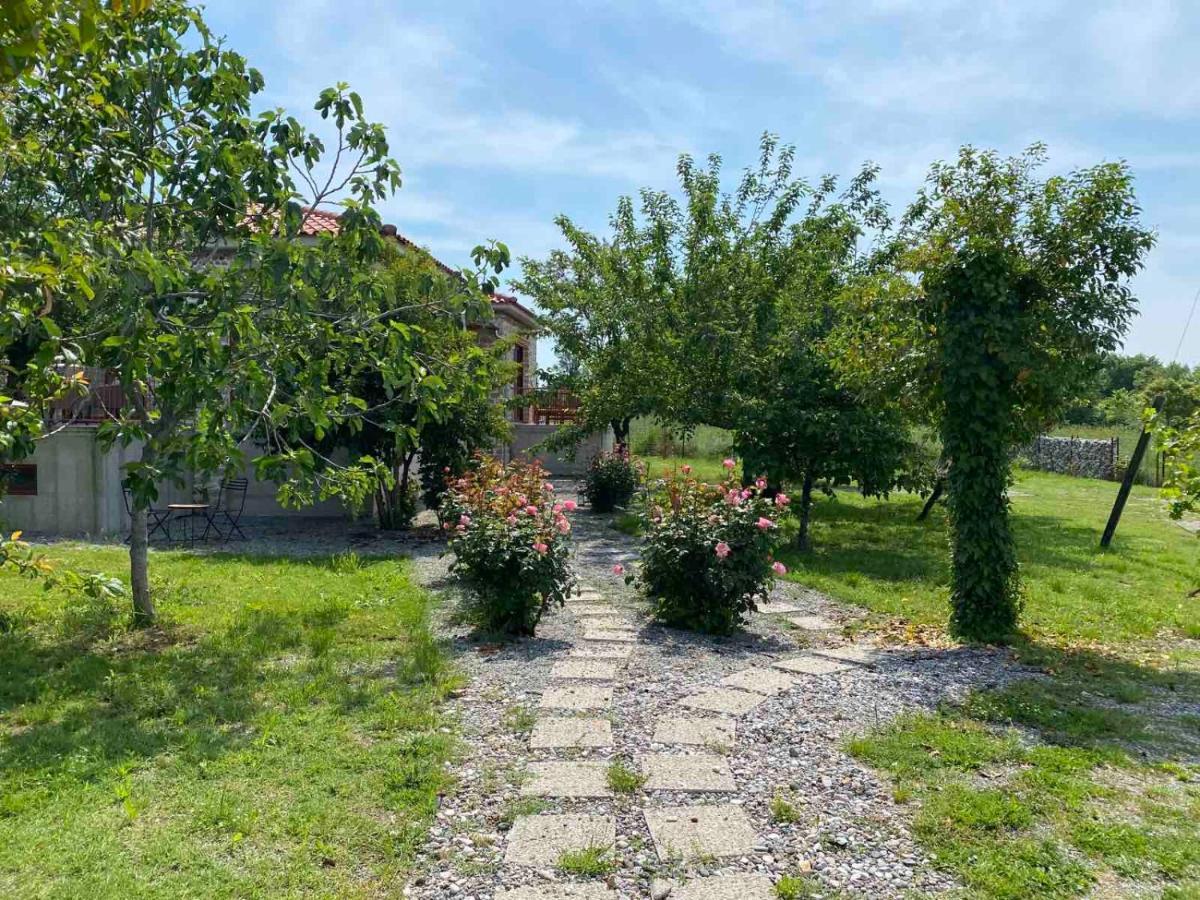 Kampus Luxury Trikala (Thessaly)
